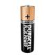 Duracell Plus AA Battery (Pack of 24) 81275383