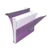 Rexel Multifile Extra Secura Suspension File A4 30mm Assorted (10 Pack) 2102573