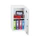 Phoenix Fortress Size 4 S2 Security Safe with Key Lock