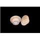 Legamaster WOODEN magnet 25mm 5pcs