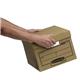 Bankers Box Earth Series Storage Box Brown (Pack of 10) 4472401