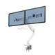 Fellowes 9909401 Eppa Dual Crossbar Monitor Arm - White