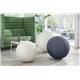 Leitz Ergo Active Sitting Ball 65cm Light Grey
