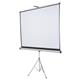 Nobo Tripod Projection Screen for DLP LCD 4:3 Format Black-bordered W1750xH1325mm Ref 1902396