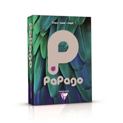 Papago Mid Steel Grey A4 80gsm Paper (Box 2500) Code FGR2180