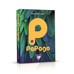 Papago Mid Buttercup Gold A4 80gsm Paper (Box 2500) Code FBU2180