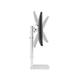 Neomounts By Newstar Monitor Desk Mount FPMA-D890WHITE