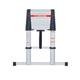 Telescopic Ladder; 13 Tread; Aluminium; 150kg; Silver/Black/Red