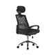Sigma – High Back Mesh Chair with Height Adjustable Headrest & Fixed Sturdy Arms Black