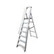 Climb-It® Aluminium Swingback Stepladder; 10 Tread with Handrails; 150kg; Silver