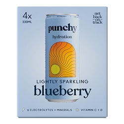 Punchy Blueberry Hydration [Pack of 24]