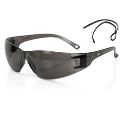 Beeswift Performance Lens Wraparound Safety Glasses Grey 
