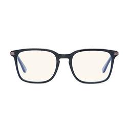 Bolle Chicago Mens Problu Glasses Black 