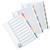 5 Star Office Index 150gsm Card with Coloured Mylar Tabs 1-31 A4 White