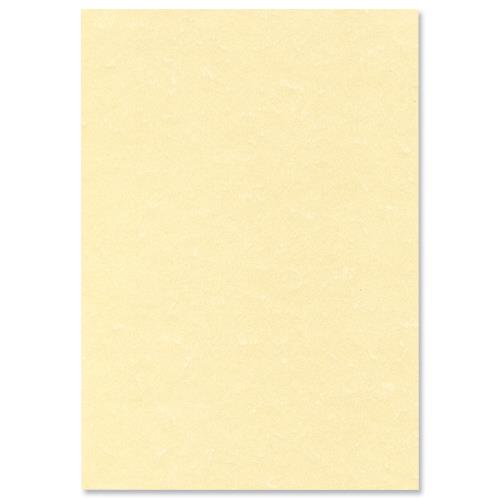 Letterhead Presentation Paper Poster Quality 165gsm A4 Champagne [50