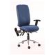Chiro High Back With Height Adjustable And Folding Arms Blue