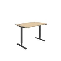 Office Rectangular Single Motor Sit Stand Desk  1200X800 Oak/Black