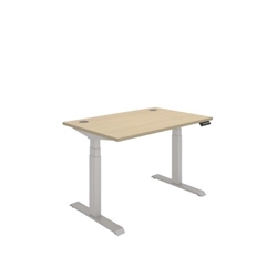Office Rectangular Dual Motor Sit Stand Desk  1200X800 Oak/Silver