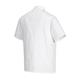 Portwest Cumbria Chefs Jacket S/S S White