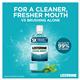 Listerine Mouthwash Cool Mint 250ml (Pack of 6) 31192