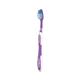 Colgate Toothbrush Extra Clean (Pack of 12) C000668