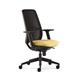Eclipse Mesh High Back Chair, Black Frame, Adj Lumber,  Adj Arms & S/Slide. Ecl02B/Ss Gp0 Havana Yp009
 FU1006