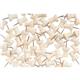 Bi-Office Wooden Push Pins (Pack of 20 PI3203