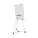 Earth Kyoto Mobile Magnetic Easel EA14506174