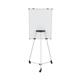 Earth Kyoto Mobile Magnetic Easel EA14506174