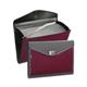 Snopake Zeon Organiser 13-Part Foolscap Ruby 15895