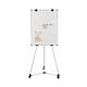 Earth Kyoto Mobile Magnetic Easel EA14506174