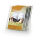 Durable COMBIBOXX 5 Literature Holder - Stand & Wall - A4 Portrait - Clear