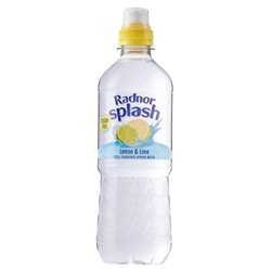 Radnor Splash Sugar Free Lemon & Lime 24x500ml
