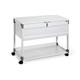 Durable Locking Lid Suspension File Trolley - for 100 A4 Folders - Grey