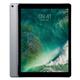 Apple iPad Pro A10X Processor Wi-Fi 64GB 12.9in Retina Display ID Finger Sensor Space Grey Ref MQDA2B/A