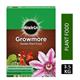 Miracle-Gro Growmore Plant Food 3.5kg Box