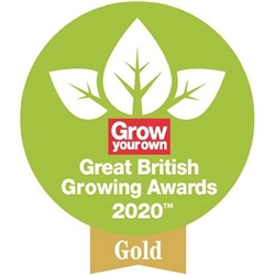 Kew Gardens {Spear & Jackson} Leather Palm Green Large Gloves (Pair) - PACK (10)