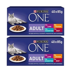 Purina ONE Adult Cat Food Mixed Mini Fillets in Gravy 40x85g