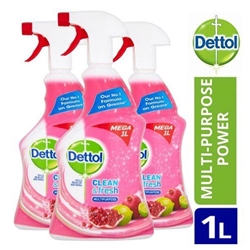 Dettol Power & Fresh Pomegranate Spray 1 Litre