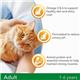 IAMS for Vitality Adult Cat Food Fresh Chicken 800g