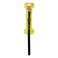 Pets Play Medium Dog Collar