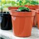 Stewart Garden 30.5cm (12inch) Flower Pots Terracotta