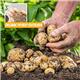 Vitax Organic Potato Fertiliser 4.5KG Tub