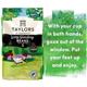 Taylors of Harrogate Lazy Sunday Coffee Beans 200g