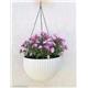 Fixtures Beige Rattan Hanging Basket 25cm x 16cm