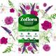 Zoflora Disinfectant Country Garden 500ml - PACK (12)