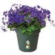 Elho Green Basics Grow Pot 13cm LEAF GREEN