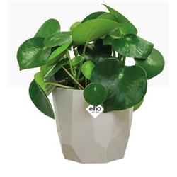 Elho B.For Rock 14cm Display Pot WARM GREY