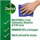 Dettol Antibacterial Surface Cleanser Trigger 750ml