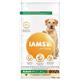 IAMS for Vitality Large Adult Dog Food Fresh Chicken 12kg